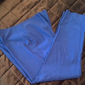 Chico's Classic Blue Ankle Pants